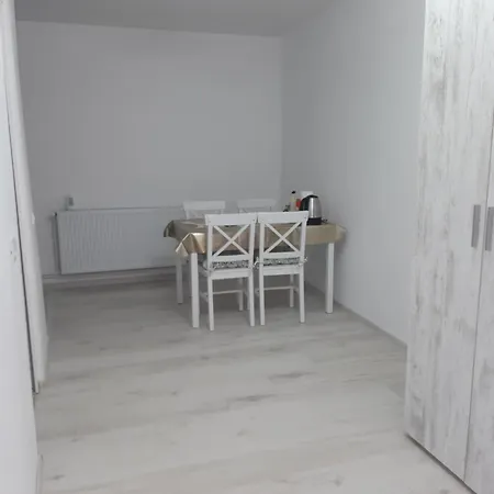 Casa Silvia 公寓 康斯坦察